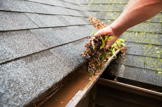Top 5 Signs It’s Time to Clean Your Gutters (Before It’s Too Late)